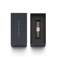 Orologio Daniel Wellington Donna QUADRO MINI EVERGOLD BLUSH in Acciaio DW00100650 - DW00100650